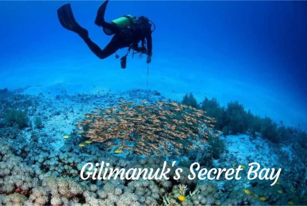 Gilimanuk's Secret Bay Gilimanuk's Secret Bay